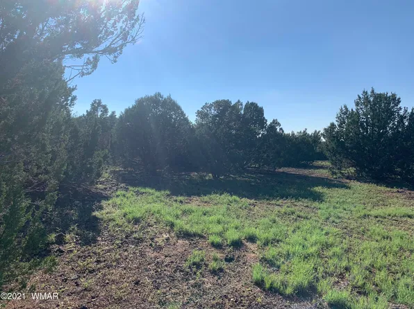 99 County Road 3168, Vernon, AZ 85940