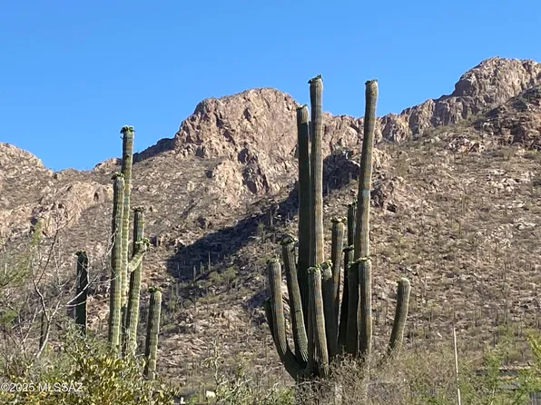 2134 E Desert Garden Dr #288, Tucson, AZ 85718