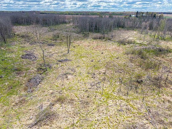 3rd image of 40 Acres Anderson & School Road