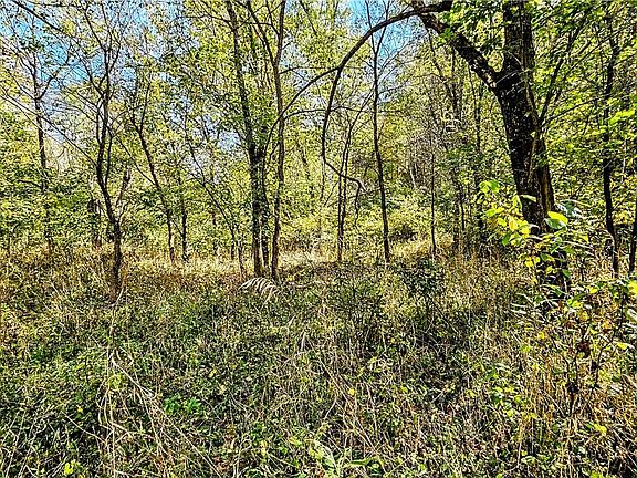 5th image of 11800 State Route 329