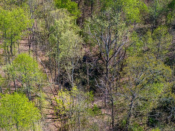3rd image of 0 Dodson Branch Hwy