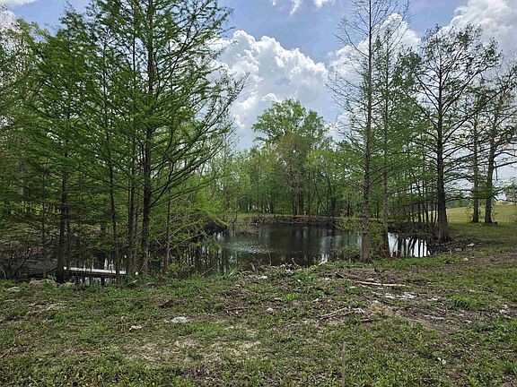 5th image of 17811 Puckett Rd