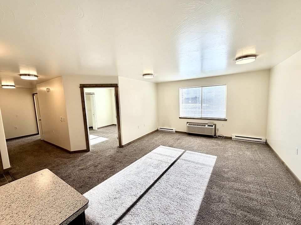 A lot of natural light from the south-facing windows.