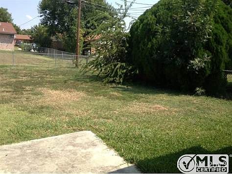 Back yard