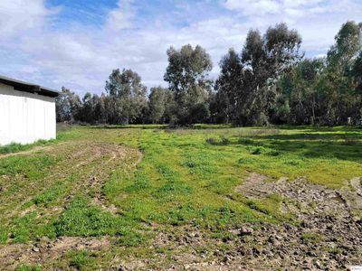 3542 Barham Ave, Corning, CA, 96021