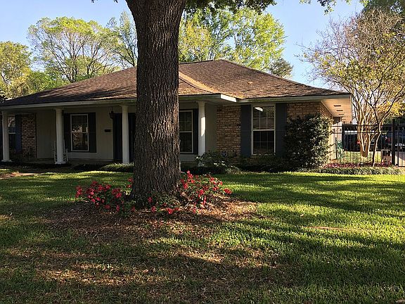 Live Oak graces front yard