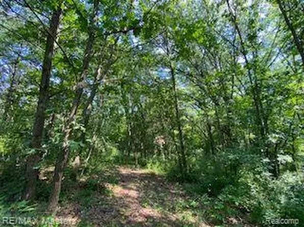 (undisclosed Address), Concord, MI 49237