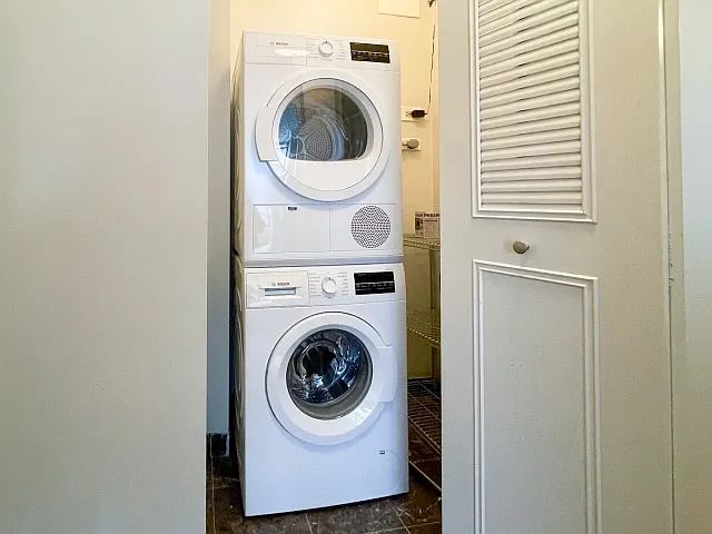 222 E Pearson St #1206 — Photo 9