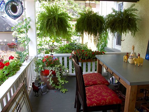 Back Porch