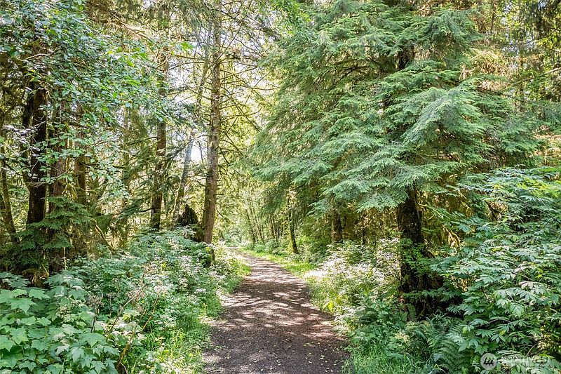 5th image of 1 Swamp Road