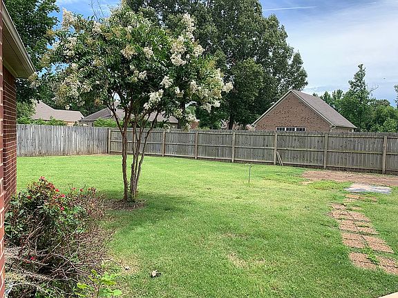 Back yard