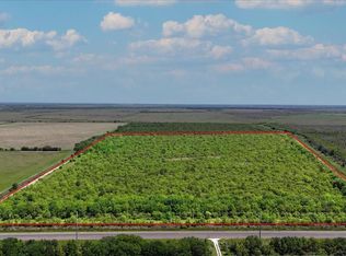 0 Highway 124, Stowell, TX 77661