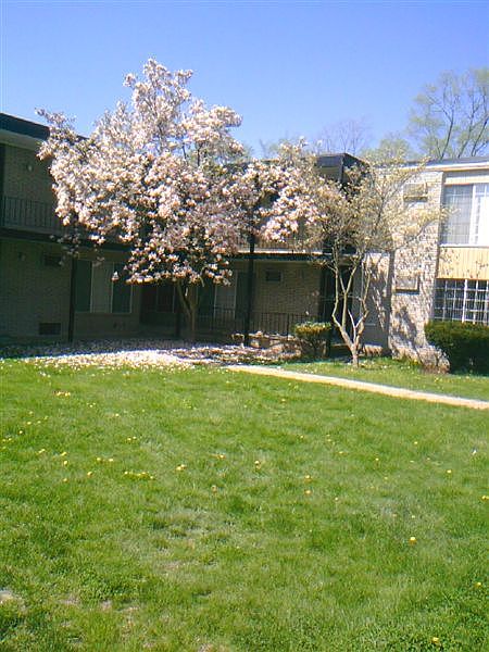 Beautifully landscaped grounds