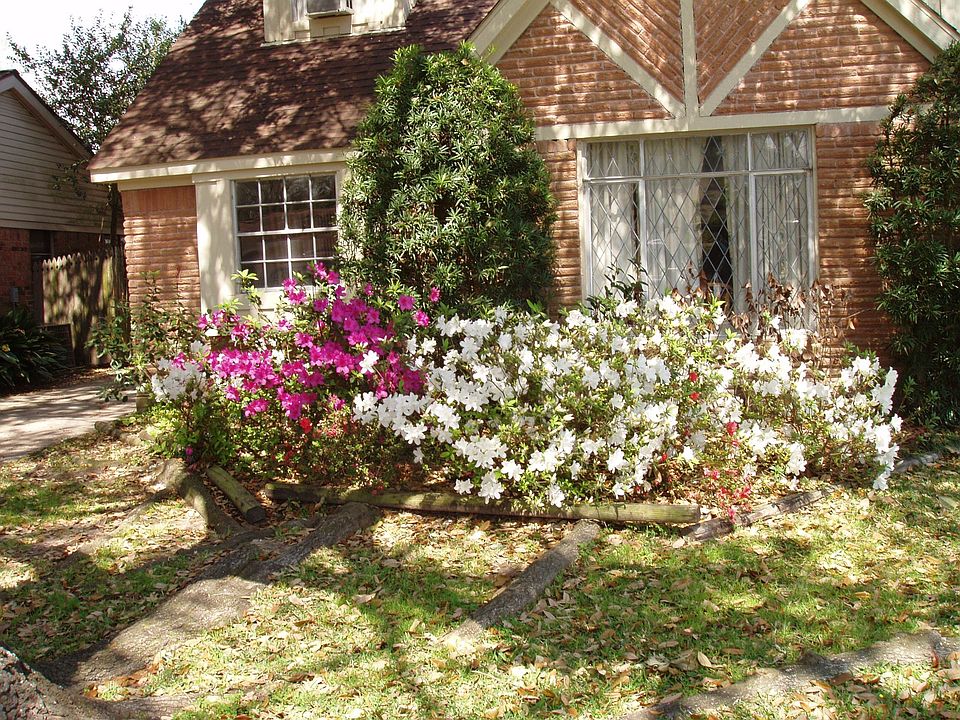 1st image of 6018 Arboles Dr