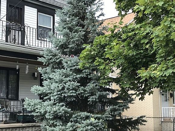 5th image of 36 Tuxedo Pl