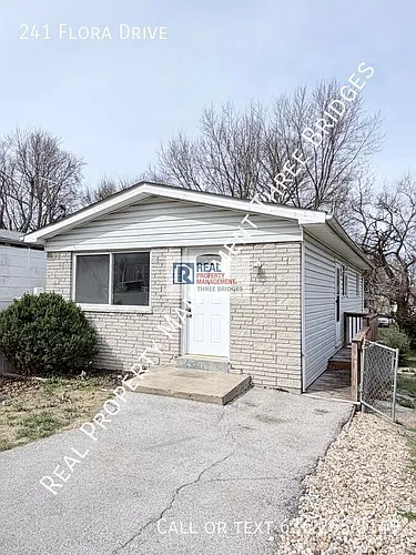 241 Flora Dr Photo 1