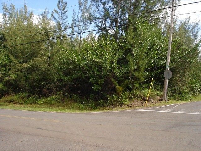 2nd image of 1st Avenue Akala Lot 2968