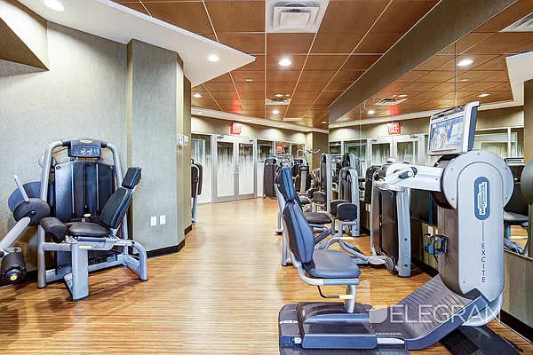 Rented by (Legacy) Elegran | media 44