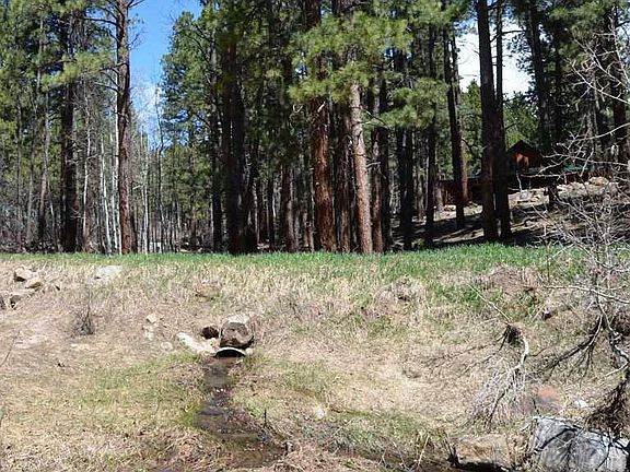 2nd image of 587 Enchanted Forest Dr