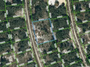 223 Blue Sky Dr #19, Lake Placid, FL 33852