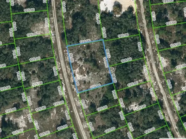 223 Blue Sky Dr #19, Lake Placid, FL 33852