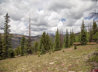 Forest Service Rd #503, Creede, CO 81130