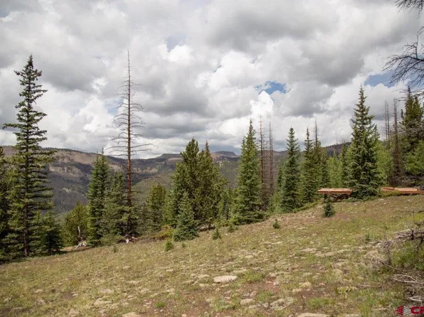 TBD Forest Service Road 503, Creede, CO 81130