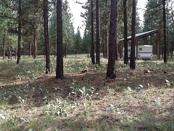 2nd image of 11 Butterweed Rd