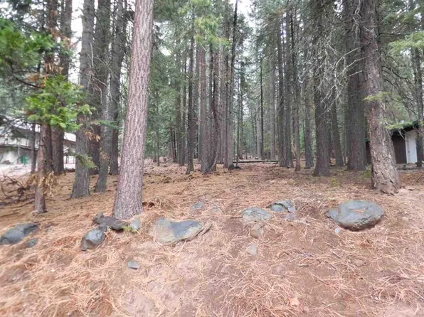 657 E Mountain Ridge Rd, Westwood, CA 96137