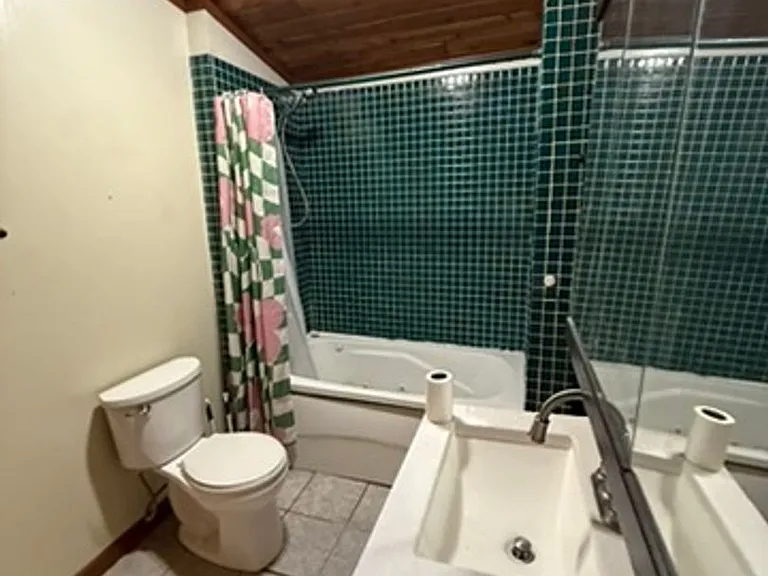 3820 Hardluck Dr — Photo 21