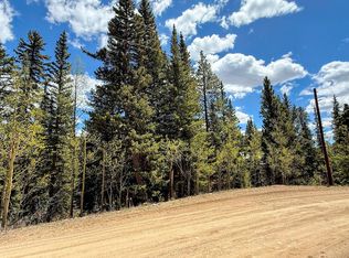 324 Bauxite Lane, Fairplay, CO 80440