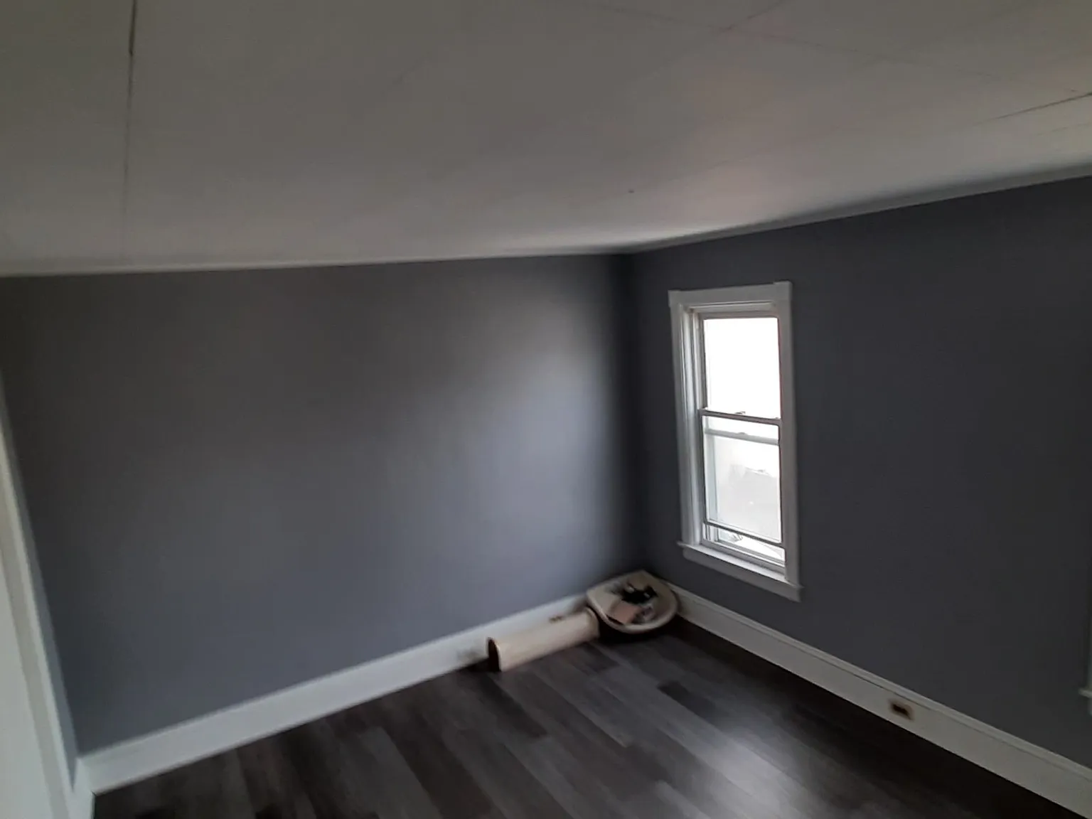2 bed, 800 sqft, $1,450 — Photo 4