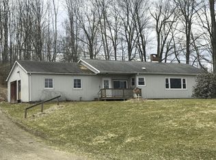 307 Sabin Rd, Spencer, NY 14883