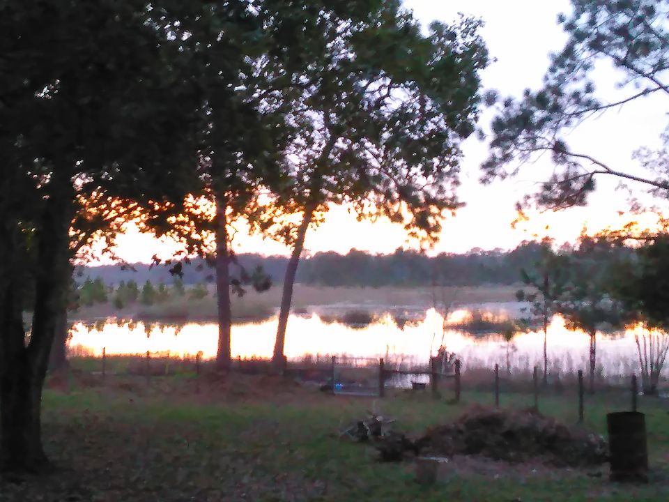 Lake view