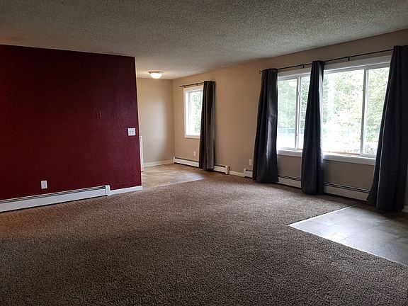 Living Room Windows