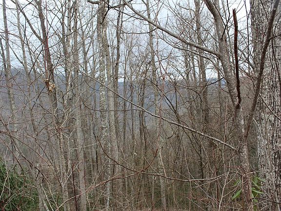 3rd image of 0 Starry Dr Lot 19