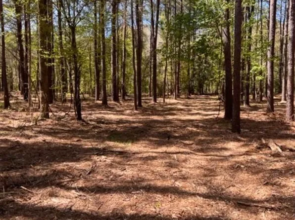 County Road 1582, Avinger, TX 75630