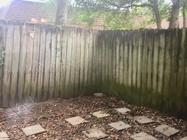 Privacy Fenced courtyard
