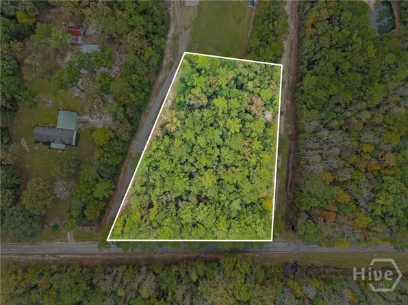 0 Clyo Shawnee Road, Springfield, GA 31329
