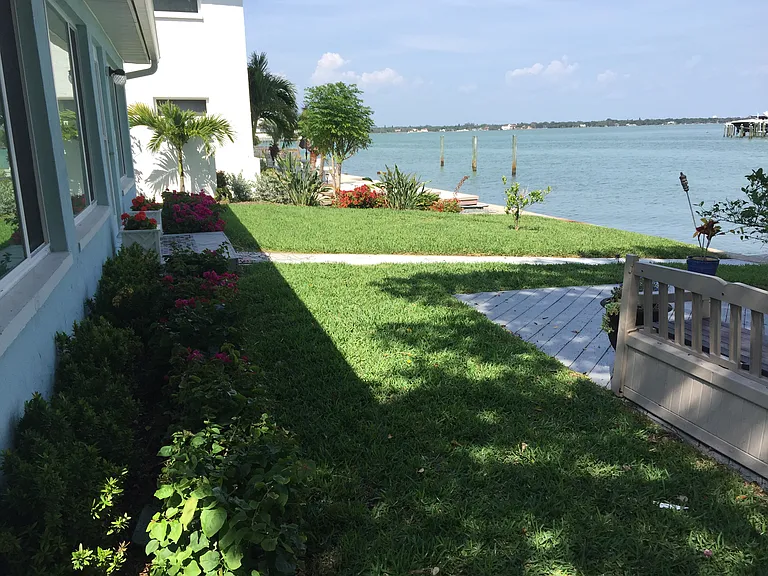 Back yard