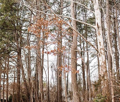 4th image of 0 Riverside Dr