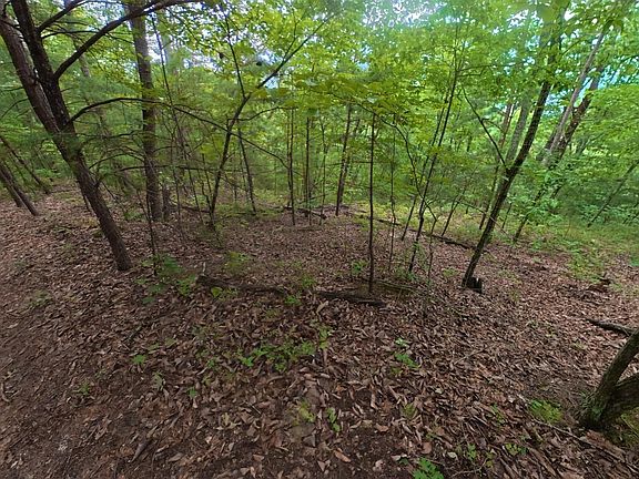 4th image of 43 Shady Oaks Way Lot 43