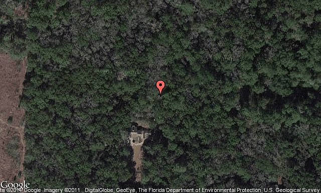 Map View