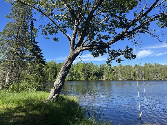 4th image of 36271 W Tahquamenon Trl