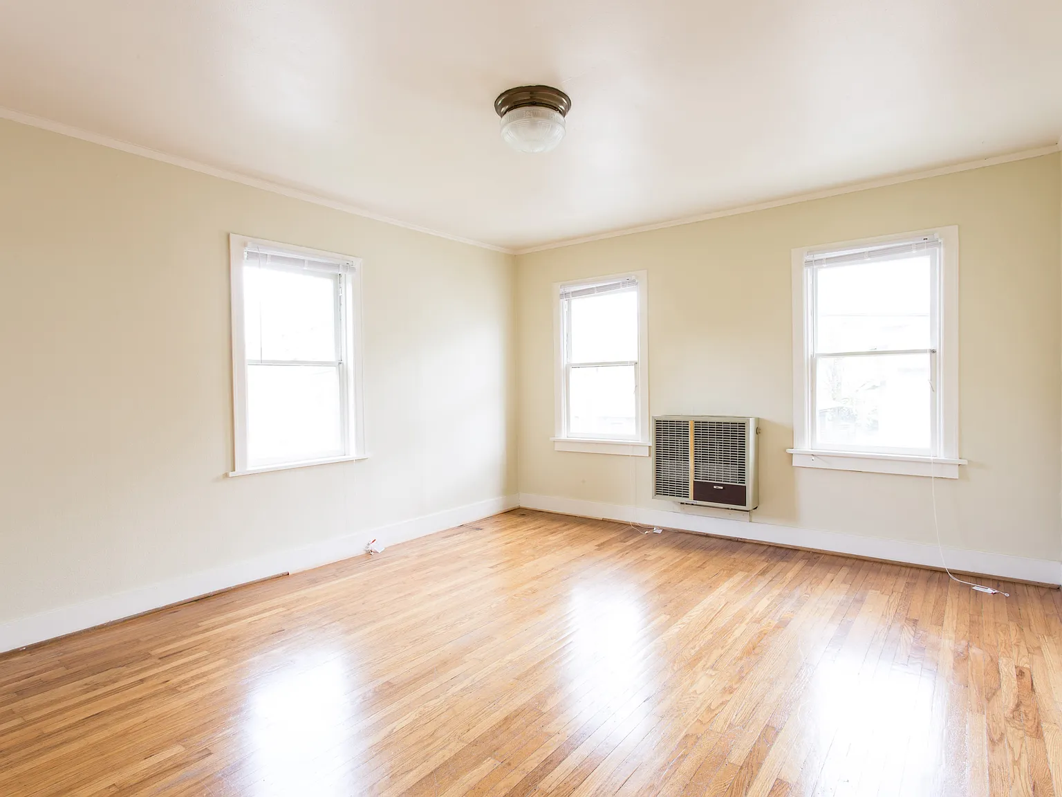 Studio, 481 sqft, $1,395 — Photo 3