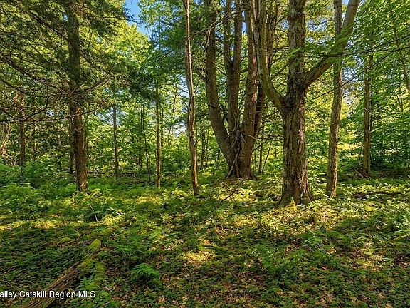 5th image of Lot 2 Snydertown Road