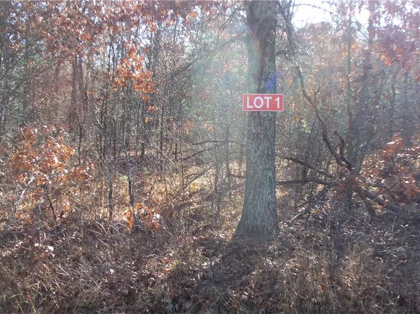 LOT 1 FERRY RD, Grantsburg, WI 54840