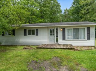 3827 Birchwood St, Beaverton, MI 48612