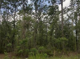 NE 12th St LOT 1, Williston, FL 32696