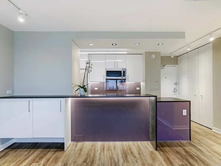 3930 N Pine Grove Ave #2004 — Photo 4